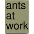 Ants at Work