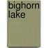 Bighorn Lake