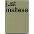 Just Maltese