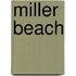 Miller Beach