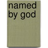 Named by God by Kasey Van Norman