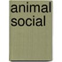 Animal Social