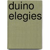 Duino Elegies door Roger Nicholson Pierce