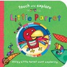 Little Parrot by Katie Saunders