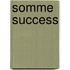Somme Success