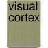 Visual Cortex