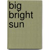 Big Bright Sun door Nate Pritts