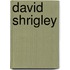 David Shrigley