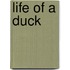Life Of A Duck