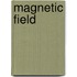 Magnetic Field