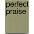 Perfect Praise