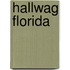 Hallwag Florida