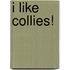 I Like Collies!