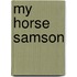 My Horse Samson