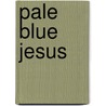 Pale Blue Jesus door John O'Dowd