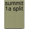 Summit 1A Split door Joan M. Saslow