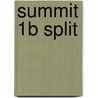 Summit 1B Split door Joan M. Saslow
