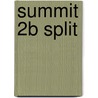 Summit 2b Split door Joan M. Saslow