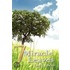 7 Miracle Leaves
