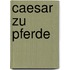 Caesar Zu Pferde