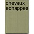 Chevaux Echappes