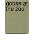 Goose at the Zoo