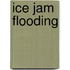 Ice Jam Flooding