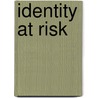 Identity at Risk door Ingfrid Thowsen