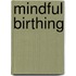 Mindful Birthing