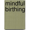 Mindful Birthing door Nancy Bardacke