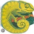 Pocket Chameleon
