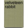 Velveteen Rabbit door Bruce Smith