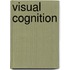Visual Cognition