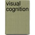 Visual Cognition