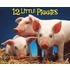 12 Little Piggies