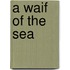 A Waif Of The Sea