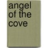 Angel of the Cove