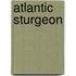 Atlantic Sturgeon