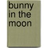 Bunny in the Moon