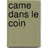 Came Dans Le Coin