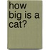 How Big Is a Cat?