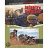 Infantry Soldiers