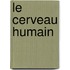 Le cerveau humain