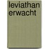 Leviathan Erwacht