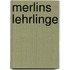 Merlins Lehrlinge