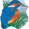 Pocket Kingfisher door Pam Adams