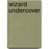 Wizard Undercover