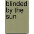 Blinded By The Sun