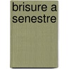 Brisure a Senestre door Vladimir Nabakov