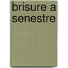 Brisure a Senestre by Vladimir Nabakov